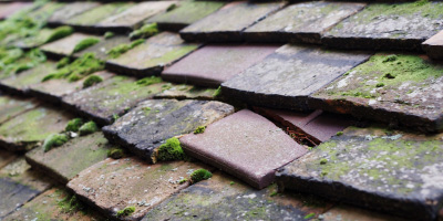 Mundon roof repair costs